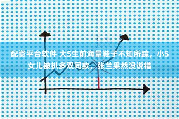 配资平台软件 大S生前海量鞋子不知所踪，小S女儿被扒多双同款，张兰果然没说错